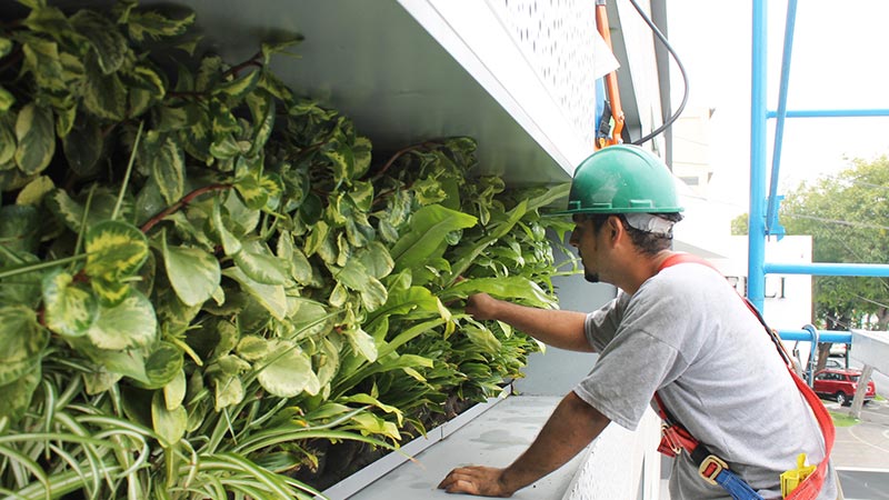 jardin vertical, jardines verticales